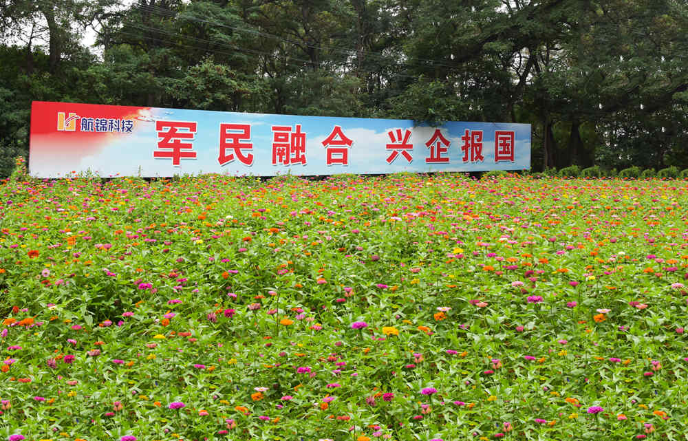 邹润芳：芯片领域两大“主角”——FPGA与GPU